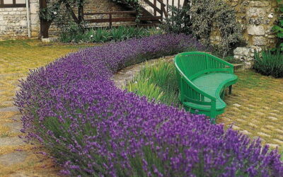 Dicas de estilos de bancos para sentar no jardim