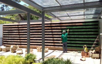 Plantas transformam muro em jardim vertical, veja!