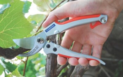 Dicas de ferramentas básicas para cuidar do jardim