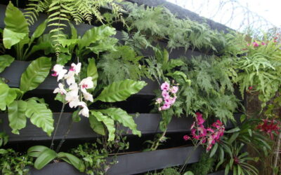 Jardim vertical agrega plantas e natureza ao ambiente