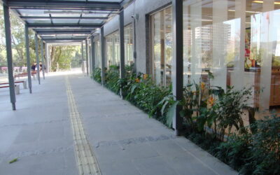 Renner investe em refeitório com paisagismo