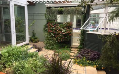 Jardim residencial amplia a área de vegetação usando paredes verdes