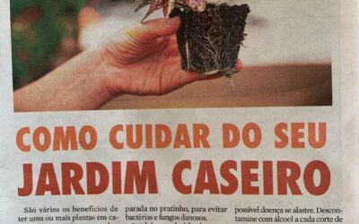 Como cuidar do seu jardim caseiro – Roteiro de Sara-ZH
