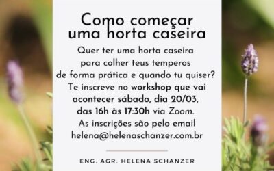 Workshop online: Como fazer uma horta caseira