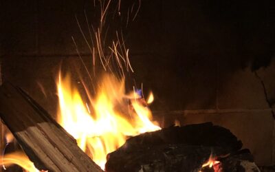 Sabia que é possível usar a cinza da lareira nas plantas?