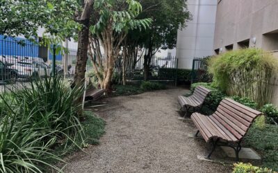 Certificação em Sustentabilidade Ambiental da prefeitura de Porto Alegre